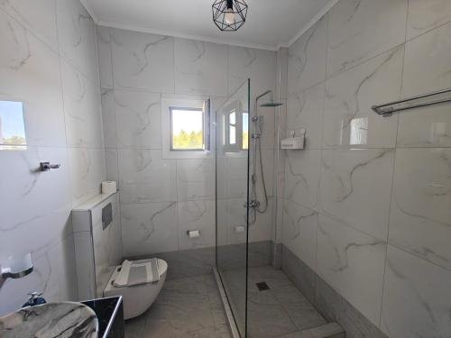 bild8_1