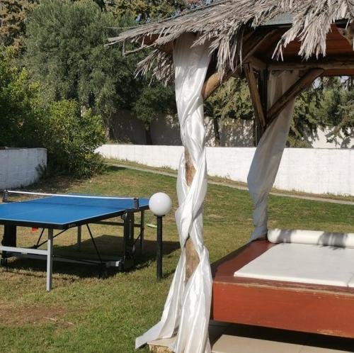 ping_pong